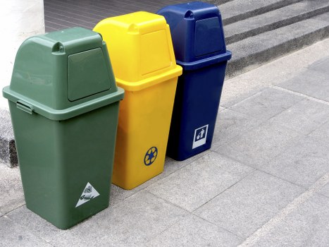 Professional waste management for businesses